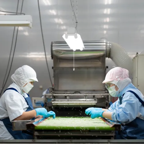 製造